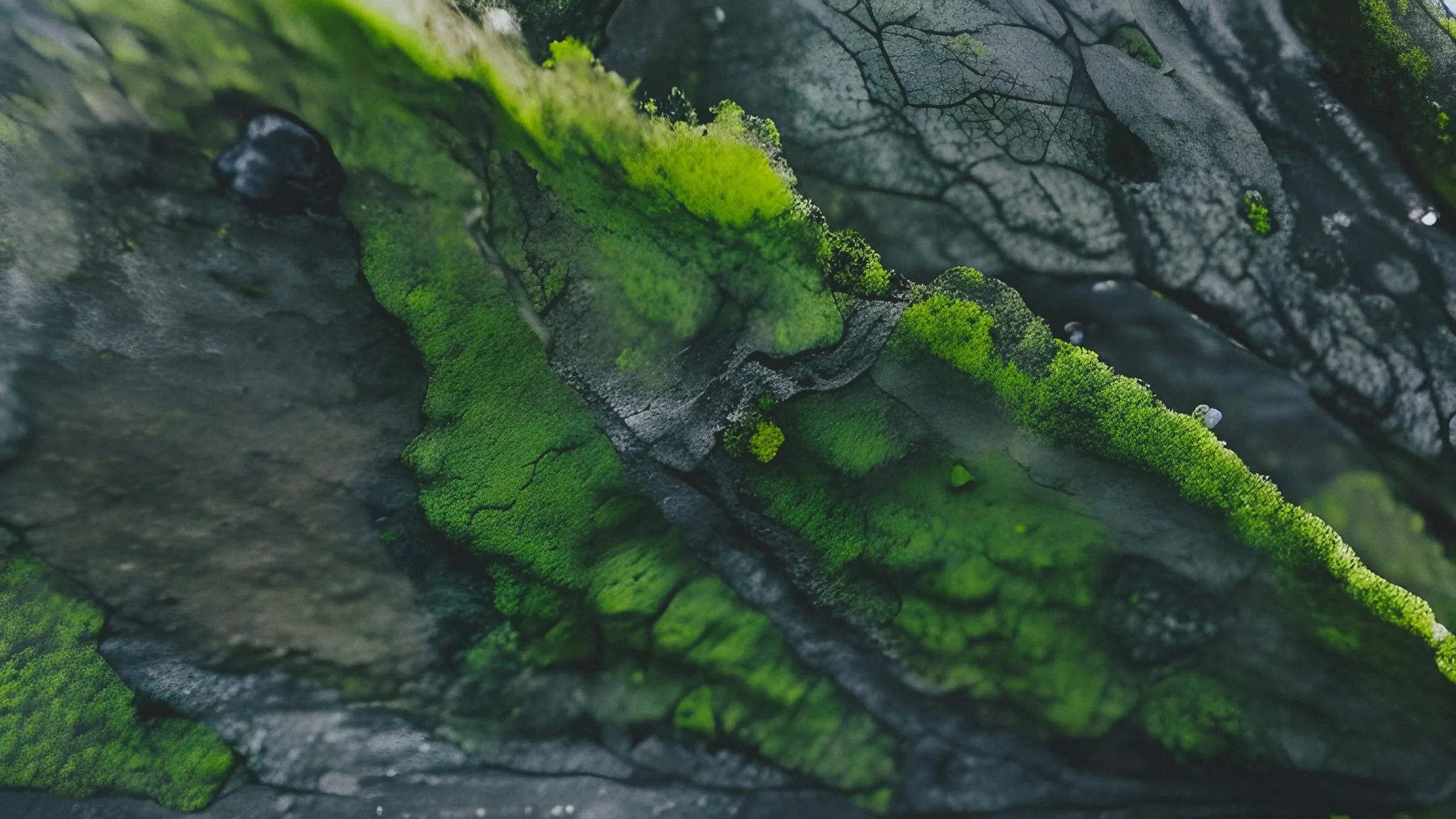 Turbulence, image 1